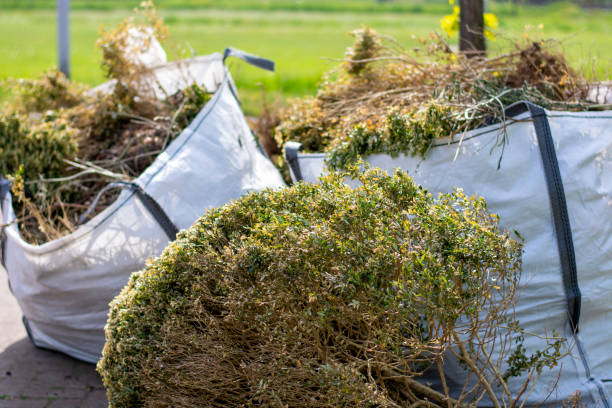 Best Construction Debris Removal  in Buena, NJ