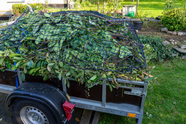 Best Same-Day Junk Removal Services  in Buena, NJ